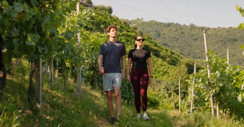 Camminando tra le vigne derl Cartizze